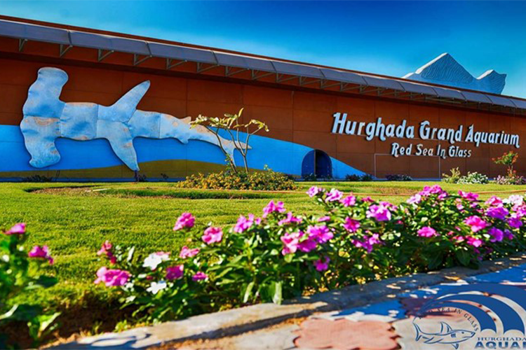 Grand Aquarium Hurghada with Private Transfer 